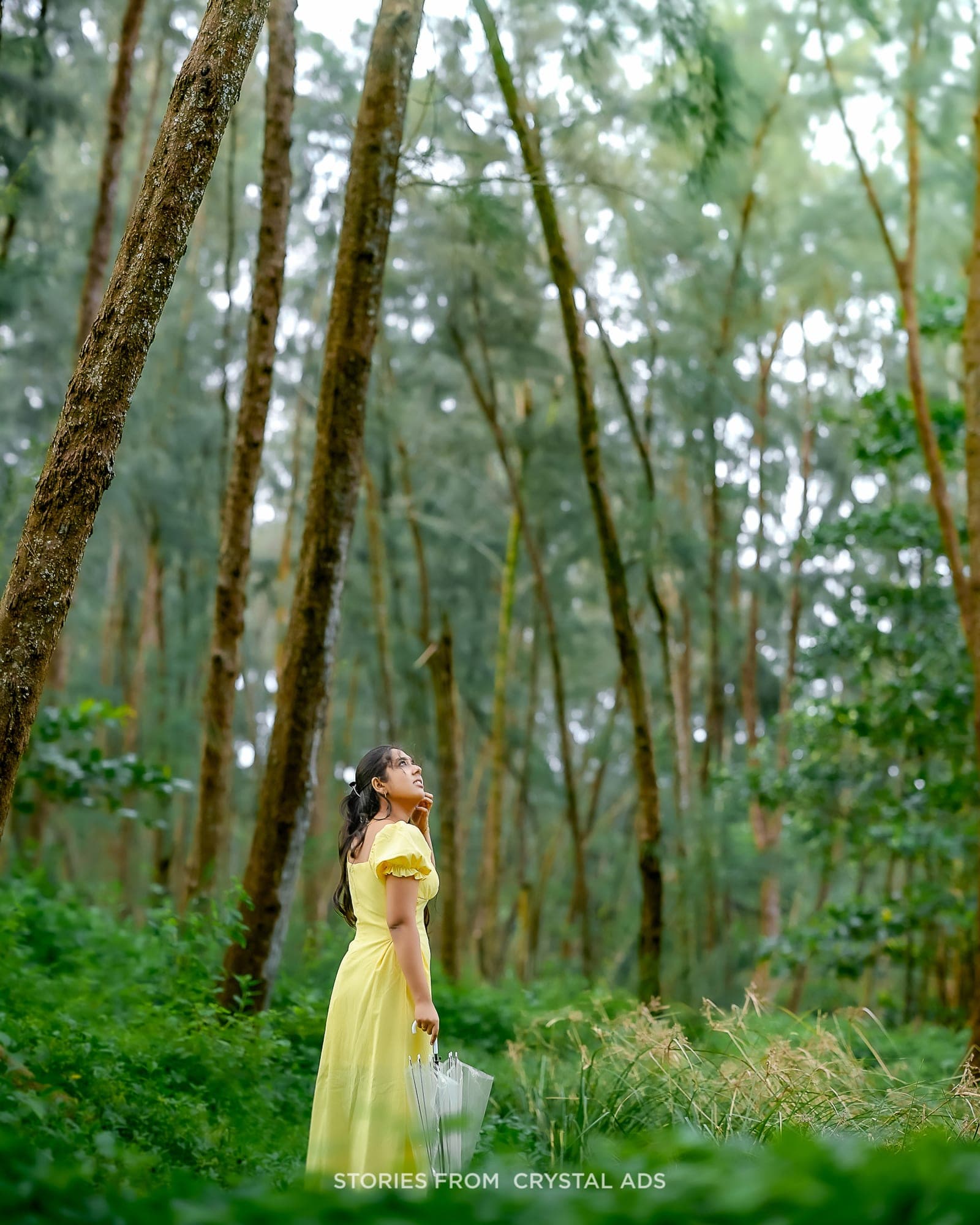 Woman in a yellow dress looking up through the forest canopy
